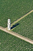 France,Gironde,Medoc region,Pauillac,La Laspic tower,where Cru Classe wine is produced (aerial view)