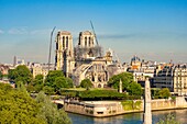Frankreich,Paris,von der UNESCO zum Weltkulturerbe erklärtes Gebiet,Ile de la Cite,Notre Dame de Paris,Konsolidierungsarbeiten nach dem Brand des Daches