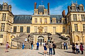 France,Seine et Marne,castle of Fontainebleau,the staircase in Horseshoe