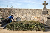 Frankreich,Val d'Oise,regionaler Naturpark von Vexin französisch,Auvers-sur-Oise,Friedhof,die Gräber von Vincent und Theodore Van Gogh