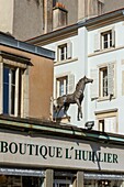 France,Meurthe et Moselle,Nancy,detail of the shop L' Huillier in rue d'Amerval