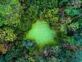 France,Landes,Arjuzanx,created on the site of a former lignite quarry,the National Nature Reserve of Arjuzanx hosts tens of thousands of cranes (Grus grus) each year,during a wintering season (aerial view)