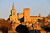 Frankreich,Vaucluse,Avignon,die Kathedrale von Doms aus dem 12. Jahrhundert und der Papstpalast gehören zum UNESCO-Welterbe
