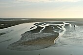 France,Somme,Baie de Somme,Saint Valery sur Somme,mouth of the Somme Bay at low tide
