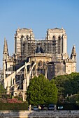 Frankreich,Paris,Kathedrale Notre Dame de Paris,zwei Tage nach dem Brand,17.April 2019