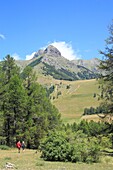 Frankreich,Hautes Alpes,Haut Champsaur,Ancelle,Wandererpaar