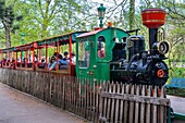 France,Rhone,Lyon,6th arrondissement,Parc de la Tête d'Or (Park of the Golden Head),little touristic train
