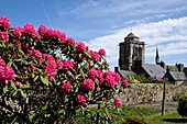 Frankreich,Finistere,Locronan,Kirche; Haus,Etikett Les Plus Beaux Villages de France (Die schönsten Dörfer Frankreichs),blühender Rhododendron