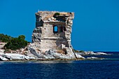 France,Haute Corse,Agriates desert,Gulf of Saint Florent,Mortella tower