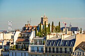 Frankreich,Paris,von der UNESCO zum Weltkulturerbe erklärtes Gebiet,Dach von Paris auf der Ile de la Cite