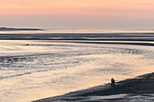 France,Somme,Baie de Somme,Le Crotoy,walkers at dusk from the panorama of the Baie de Somme
