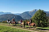 France,Haute Savoie,Mieussy,horse riding along the Giffre from Sommand,view in the meadows of Jourdy and the mountain of Mole (1863m)