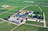 France,Gironde,Saint Julien Beychevelle,Chateau Gruaud Larose second growth Saint Julien (aerial view)