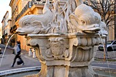France,Bouches du Rhone,Aix en Provence,Mazarin quarter,fountain and four Dolphins square (place des quatre Dauphins)