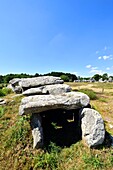 France,Morbihan,Carnac,row of megalithic standing stones at Kermario
