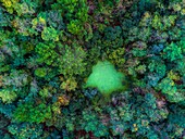 Frankreich,Landes,Arjuzanx,Auf dem Gelände eines ehemaligen Braunkohleabbaus entstanden, beherbergt das Nationale Naturschutzgebiet von Arjuzanx jedes Jahr Zehntausende von Kranichen (Grus grus) während der Überwinterung (Luftaufnahme)