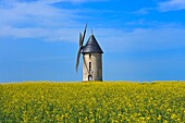 France,Aisne,Largny-sur-Automne,the windmill of Wallu and field of colza