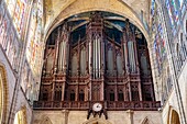 France,Seine Saint Denis,Saint Denis,the cathedral basilica,the organ