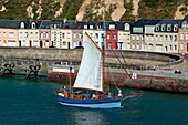 Frankreich,Seine Maritime,Pays de Caux,Cote d'Albatre,Fecamp,Rückkehr in den Hafen des alten Segelschiffs Tante Fine,im Hintergrund der Lotsenkai