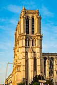 Frankreich,Paris,von der UNESCO zum Weltkulturerbe erklärtes Gebiet,Ile de la Cite,Kathedrale Notre Dame nach dem Brand vom 15. April 2019
