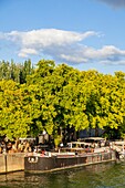 France,Paris,area listed as World Heritage by UNESCO,the banks of the Seine,quay Henri IV,barge restaurant