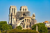 Frankreich,Paris,Weltkulturerbe der UNESCO,Ile de la Cite,Kathedrale Notre Dame,Baugerüst