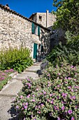 France,Vaucluse,Regional Natural Park of Luberon,Cucuron,flowery lane of the old village