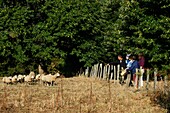 Frankreich,Aveyron,Seyrolles,Kastanienhof,Chantal und Jean François Clermont,Empfang auf dem Bauernhof und Besuch der Schäferei zur Kastanie