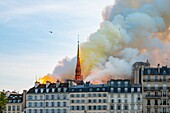 France,Paris,area listed as World Heritage by UNESCO,Ile de la Cite,Notre-Dame Cathedral,the big fire that ravaged the cathedral on April 15,2019