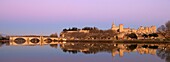 Frankreich,Vaucluse,Avignon,Saint Benezet Brücke über die Rhone aus dem 12. Jahrhundert mit im Hintergrund die Kathedrale von Doms aus dem 12. Jahrhundert und der Papstpalast, der zum UNESCO-Weltkulturerbe gehört