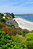 France,Finistere,Pays des Abers,Legends Coast,Saint Pabu,Aber Benoît