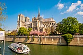 Frankreich,Paris,von der UNESCO zum Weltkulturerbe erklärtes Gebiet,Ile de la Cite,Kathedrale Notre Dame im Frühling und ein Schiffsbus