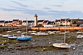 France,Finistere,Roscoff,harbour at low tide