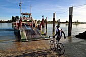 France,Seine-Maritime,Norman Seine River Meanders Regional Nature Park,the ferry crossing the Seine at the village of La Bouille,cyclists on the Veloroute of Val de Seine