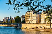 France,Paris,area listed as World heritage by UNESCO,Saint Louis Island and the City Hall