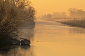 France,Somme,Baie de Somme,Saint Valery sur Somme,the Somme canal near Saint Valery,on a foggy morning