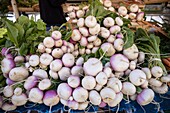 France,Alpes Maritimes,Nice,listed as World Heritage by UNESCO,Old Nice district,Cours Saleya market,turnips stall