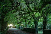 Frankreich,Morbihan,Langonnet,Eingang der Abtei Notre-Dame de Langonnet