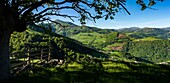 France,Pyrenees Atlantiques,Basque country,Saint Etienne de Baigorry region,landscapes