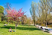 Frankreich,Paris,der Bois de Vincennes vor dem See Saint-Mandé,Kirschblüte