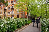 France,Paris,the Coulee Verte Rene-Dumont (former Promenade Plantee),on the site of an old railway line