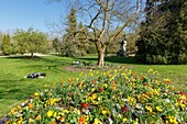 France,Meurthe et Moselle,Nancy,Parc de la Pepiniere (Pepiniere public garden) next to Stanislas square (former royal square) built by Stanislas Leszczynski,King of Poland and last Duke of Lorraine in the 18th century,listed as World Heritage by UNESCO