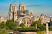 Frankreich,Paris,Weltkulturerbe der UNESCO,Notre Dame de Paris,Konsolidierungsarbeiten nach dem Brand des Daches