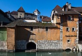 Frankreich,Haute Savoie,Annecy,Schwan auf dem Kanal von Thiou deversoir des Sees in der Nähe der Morens-Brücke und restaurierte Fassaden, in arrier Plan die Türme des Schlosses