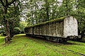 France,Landes,Commensacq,Forest of Contemporary Art,on the vast domain of the forest of Landes de Gascogne,a path punctuated with works of art to bring in resonance culture and nature,work entitled Vis Mineralis by Stéphanie Cherpin,a former railway wagon fossilized