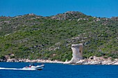 France,Haute Corse,Agriates desert,Gulf of Saint Florent,Mortella tower