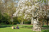 Frankreich,Meurthe et Moselle,Nancy,Parc de la Pepiniere (Pepiniere-Garten) neben dem Stanislas-Platz (ehemaliger königlicher Platz), erbaut von Stanislas Leszczynski, König von Polen und letzter Herzog von Lothringen im 18. Jahrhundert, von der UNESCO zum Weltkulturerbe erklärt, Statuengruppe "On Veille" (1885) von Edmond Desca aus weißem Marmor