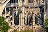 Frankreich,Paris,von der UNESCO zum Weltkulturerbe erklärtes Gebiet,Ile de la Cite,Kathedrale Notre Dame,Gerüstbau