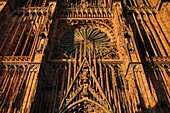 Frankreich,Bas Rhin,Strasbourg,Die Fassade der Kathedrale Notre Dame bei Sonnenuntergang