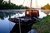 Frankreich,Indre et Loire,Loire-Tal, das von der UNESCO zum Weltkulturerbe erklärt wurde,Chouze sur Loire,Kai entlang der Loire,traditionelle Boote der Loire